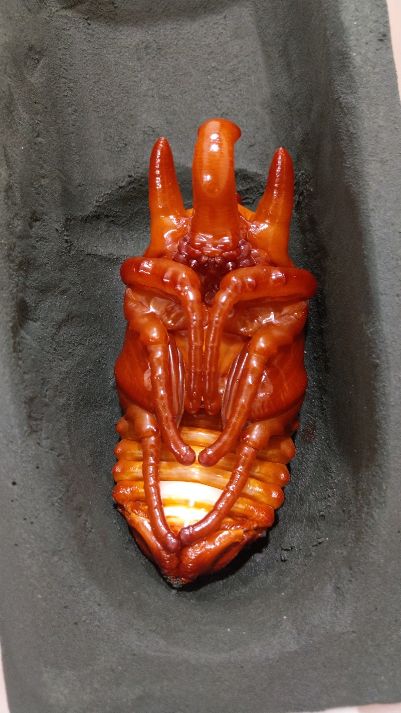 «ö¦¹¦b·sµøµ¡ÂsÄý¹Ï¤ù