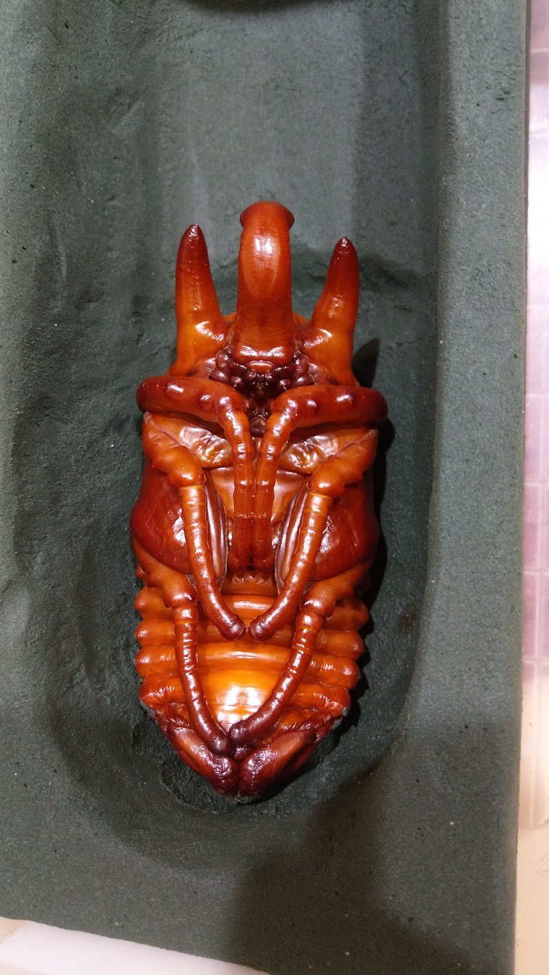 «ö¦¹¦b·sµøµ¡ÂsÄý¹Ï¤ù