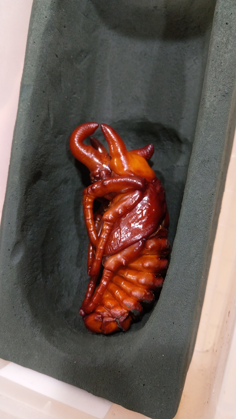 «ö¦¹¦b·sµøµ¡ÂsÄý¹Ï¤ù