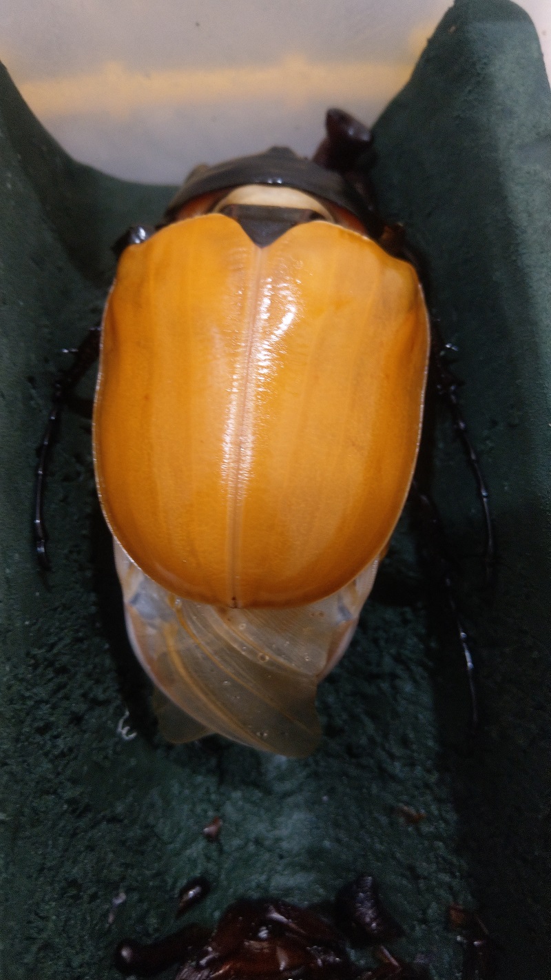 «ö¦¹¦b·sµøµ¡ÂsÄý¹Ï¤ù