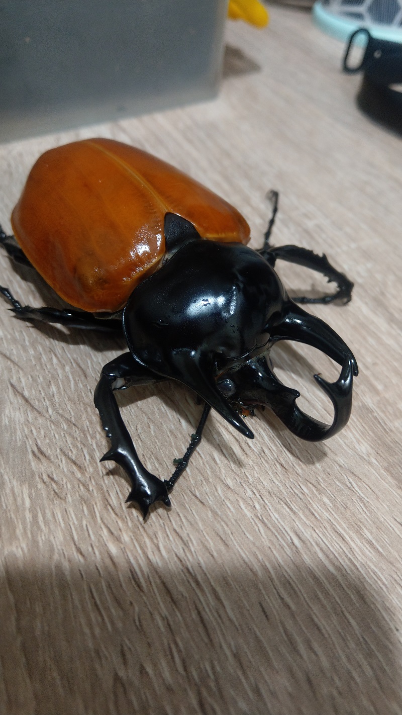 «ö¦¹¦b·sµøµ¡ÂsÄý¹Ï¤ù