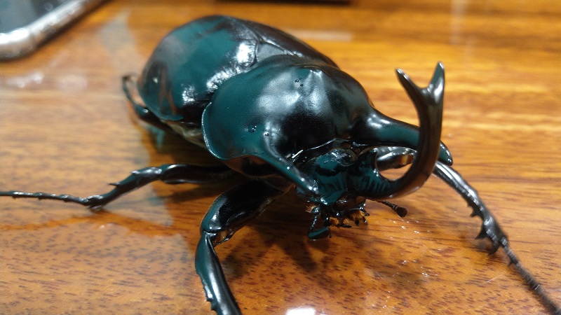 «ö¦¹¦b·sµøµ¡ÂsÄý¹Ï¤ù