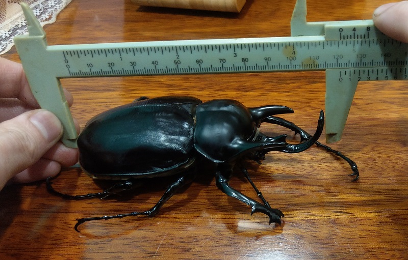 «ö¦¹¦b·sµøµ¡ÂsÄý¹Ï¤ù