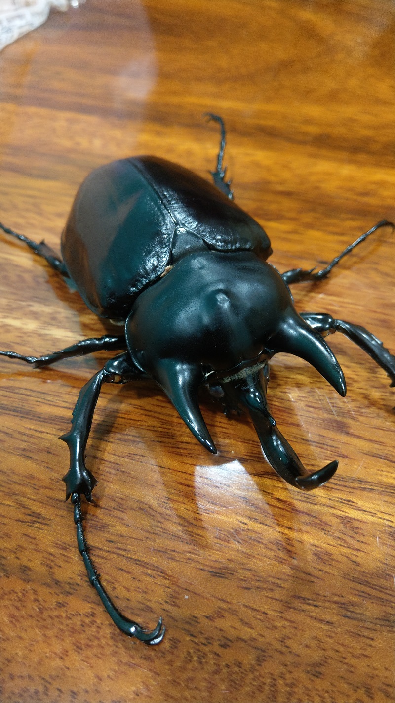 «ö¦¹¦b·sµøµ¡ÂsÄý¹Ï¤ù