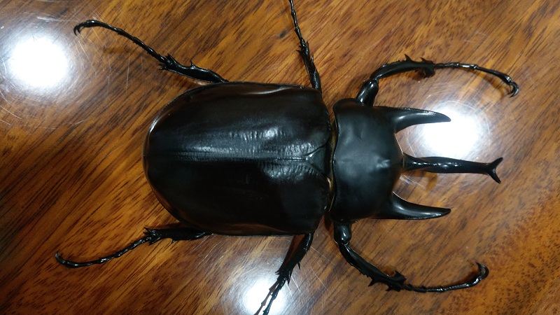 «ö¦¹¦b·sµøµ¡ÂsÄý¹Ï¤ù