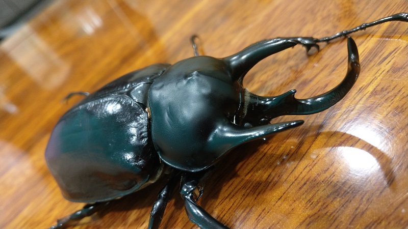 «ö¦¹¦b·sµøµ¡ÂsÄý¹Ï¤ù