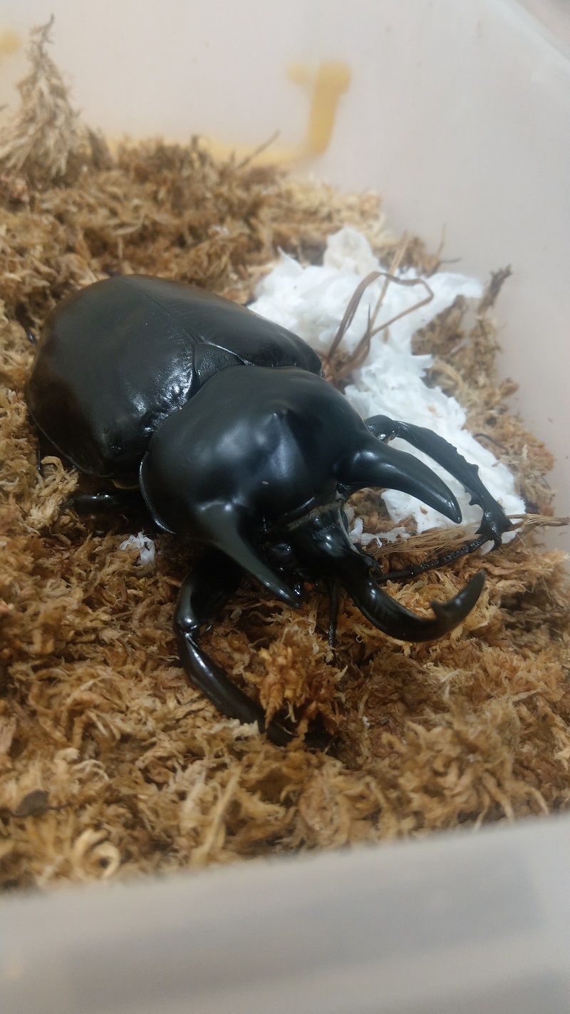 «ö¦¹¦b·sµøµ¡ÂsÄý¹Ï¤ù