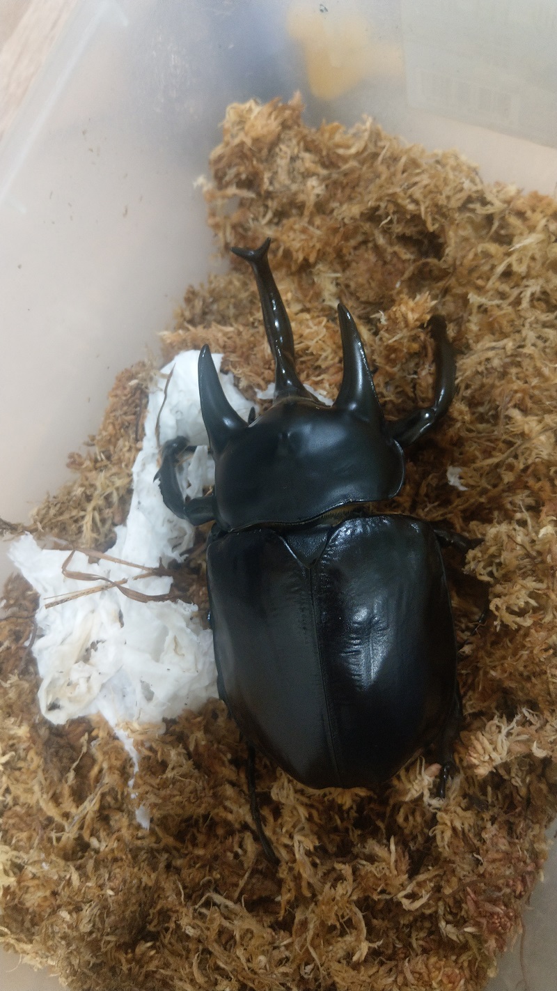 «ö¦¹¦b·sµøµ¡ÂsÄý¹Ï¤ù