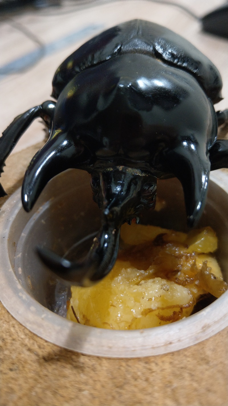 «ö¦¹¦b·sµøµ¡ÂsÄý¹Ï¤ù