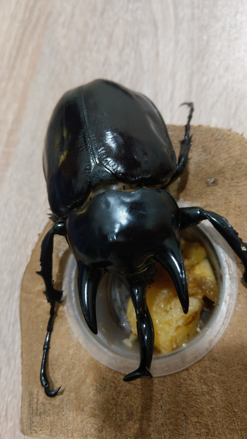 «ö¦¹¦b·sµøµ¡ÂsÄý¹Ï¤ù