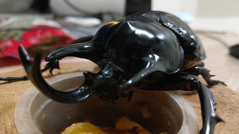 «ö¦¹¦b·sµøµ¡ÂsÄý¹Ï¤ù