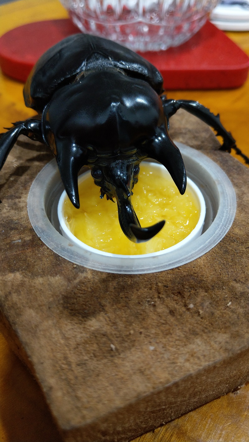 «ö¦¹¦b·sµøµ¡ÂsÄý¹Ï¤ù