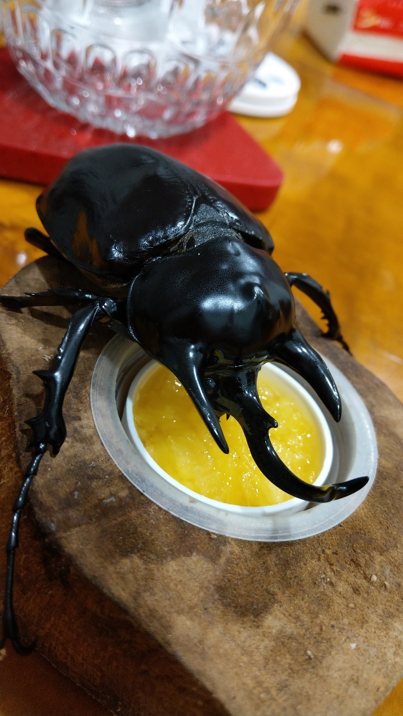 «ö¦¹¦b·sµøµ¡ÂsÄý¹Ï¤ù