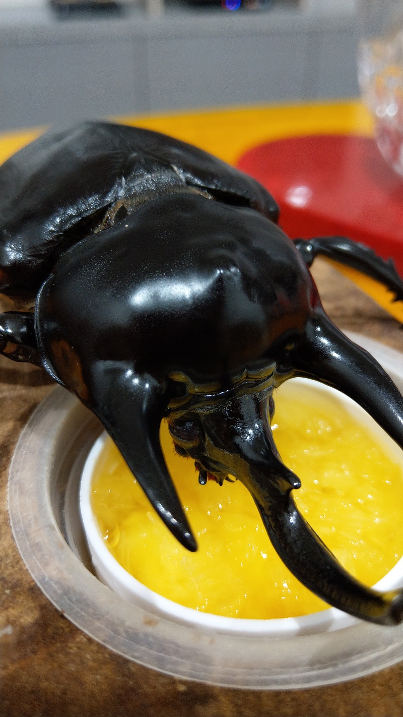 «ö¦¹¦b·sµøµ¡ÂsÄý¹Ï¤ù