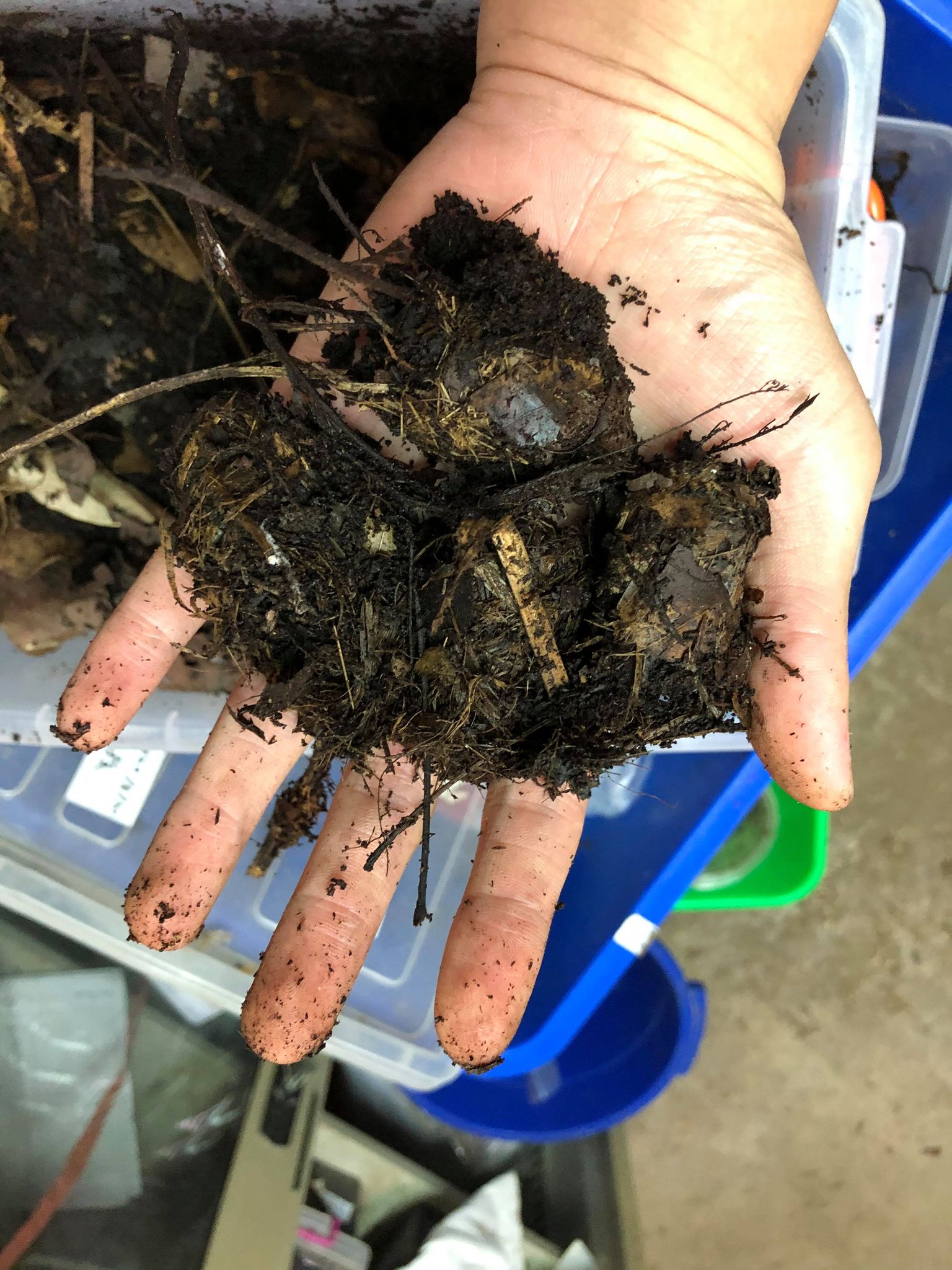 按此在新視窗瀏覽圖片