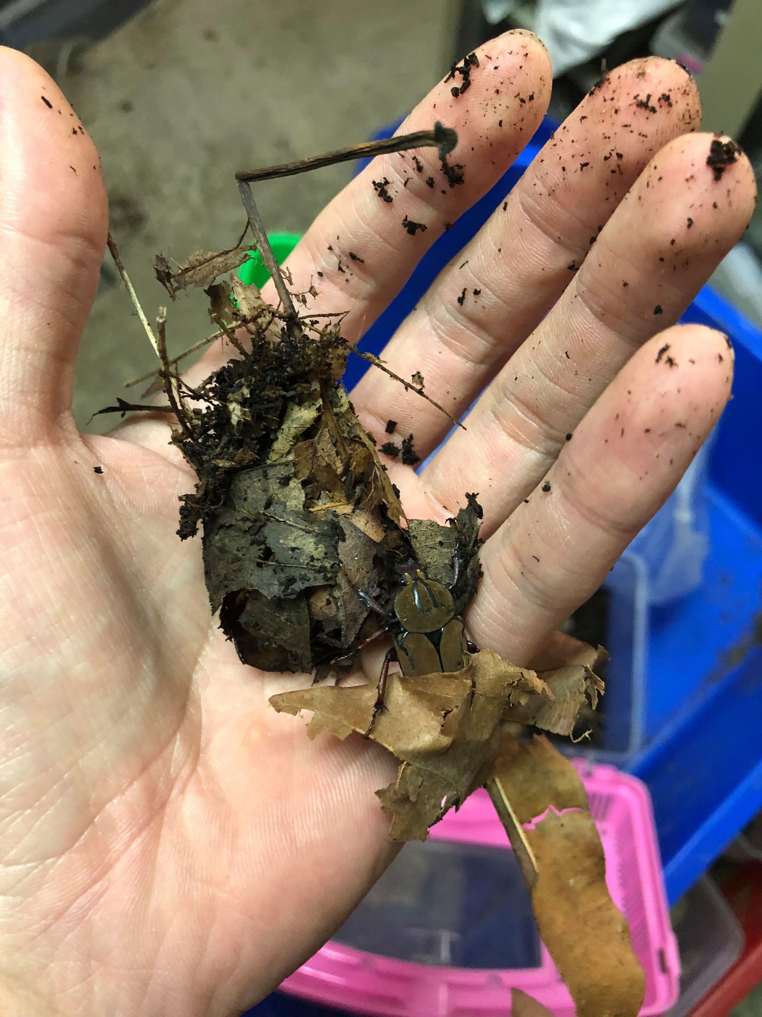 按此在新視窗瀏覽圖片