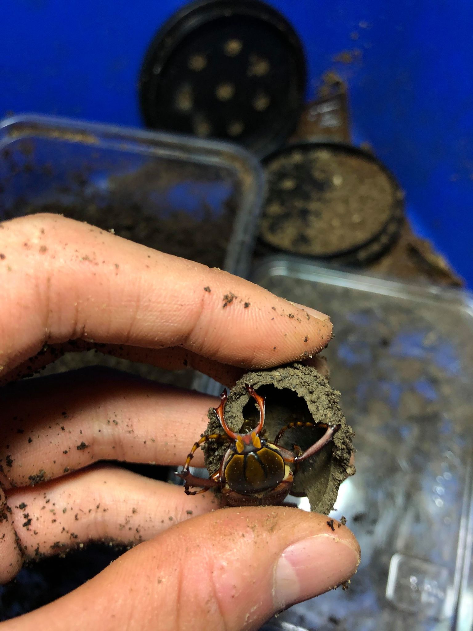 按此在新視窗瀏覽圖片