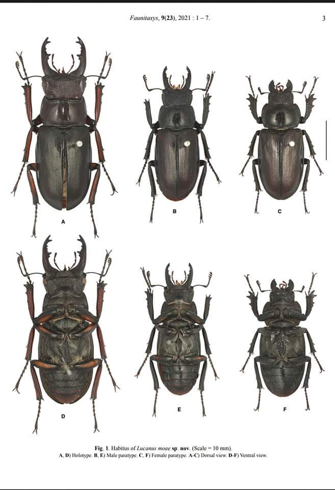 «ö¦¹¦b·sµøµ¡ÂsÄý¹Ï¤ù