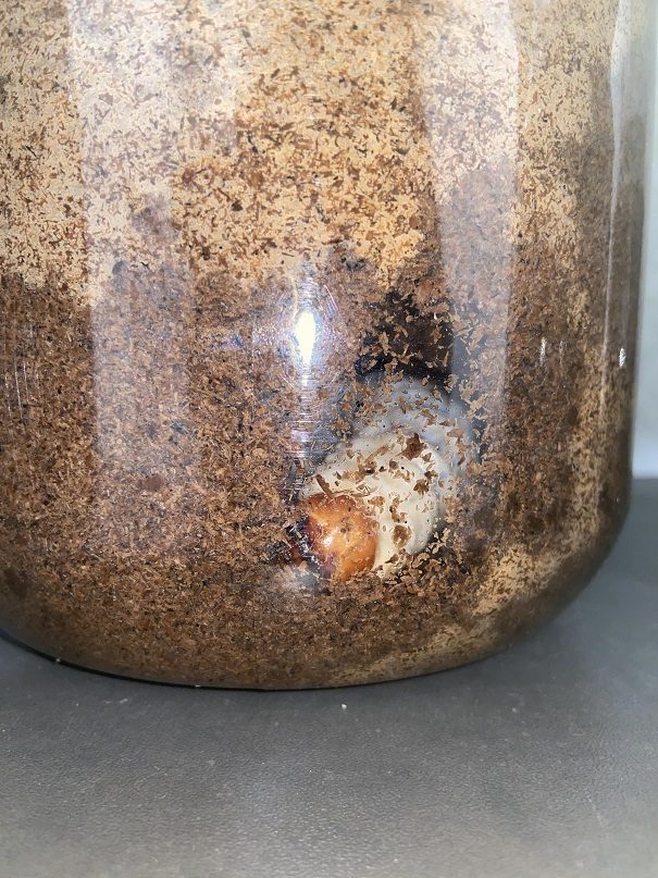 «ö¦¹¦b·sµøµ¡ÂsÄý¹Ï¤ù