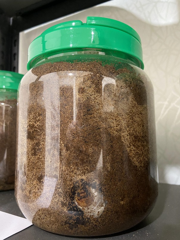 «ö¦¹¦b·sµøµ¡ÂsÄý¹Ï¤ù