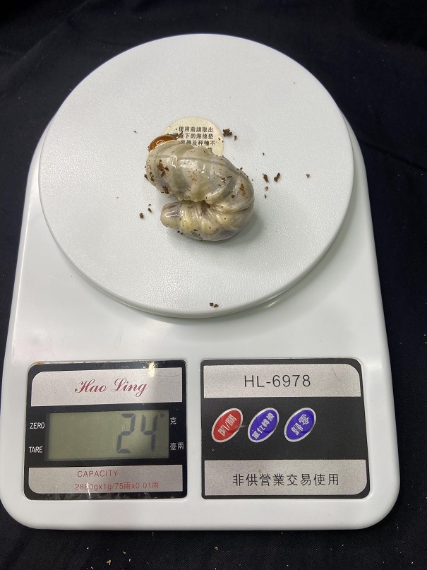 «ö¦¹¦b·sµøµ¡ÂsÄý¹Ï¤ù