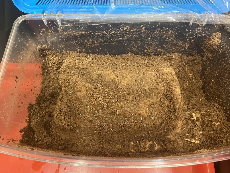 «ö¦¹¦b·sµøµ¡ÂsÄý¹Ï¤ù