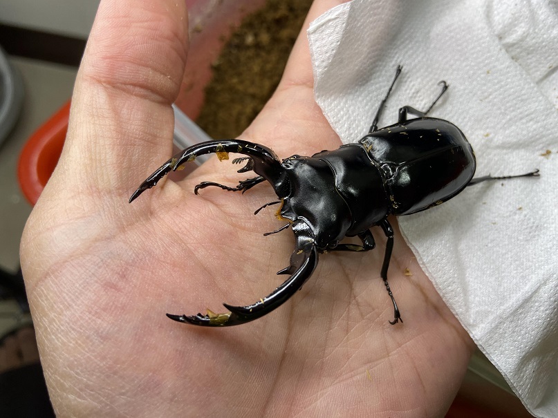 «ö¦¹¦b·sµøµ¡ÂsÄý¹Ï¤ù