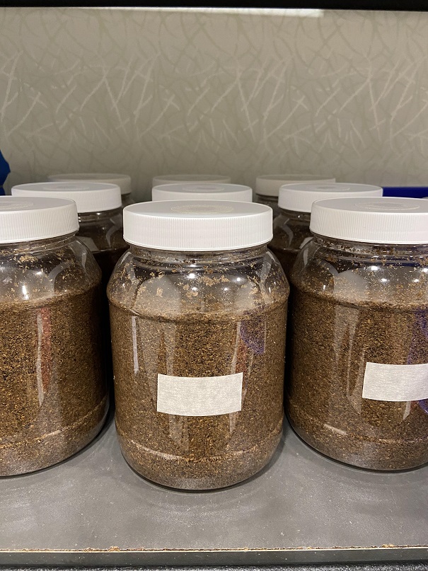 «ö¦¹¦b·sµøµ¡ÂsÄý¹Ï¤ù