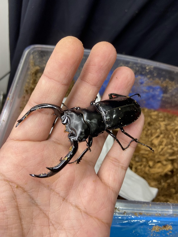 «ö¦¹¦b·sµøµ¡ÂsÄý¹Ï¤ù