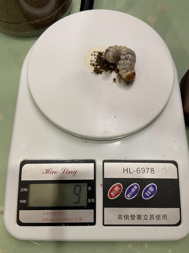 «ö¦¹¦b·sµøµ¡ÂsÄý¹Ï¤ù