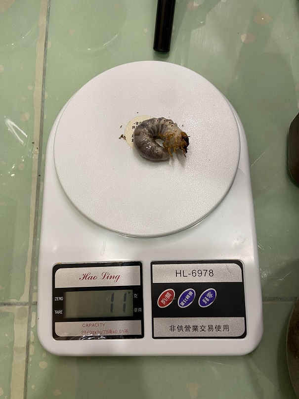 «ö¦¹¦b·sµøµ¡ÂsÄý¹Ï¤ù