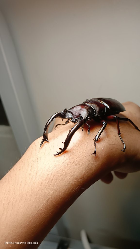 «ö¦¹¦b·sµøµ¡ÂsÄý¹Ï¤ù
