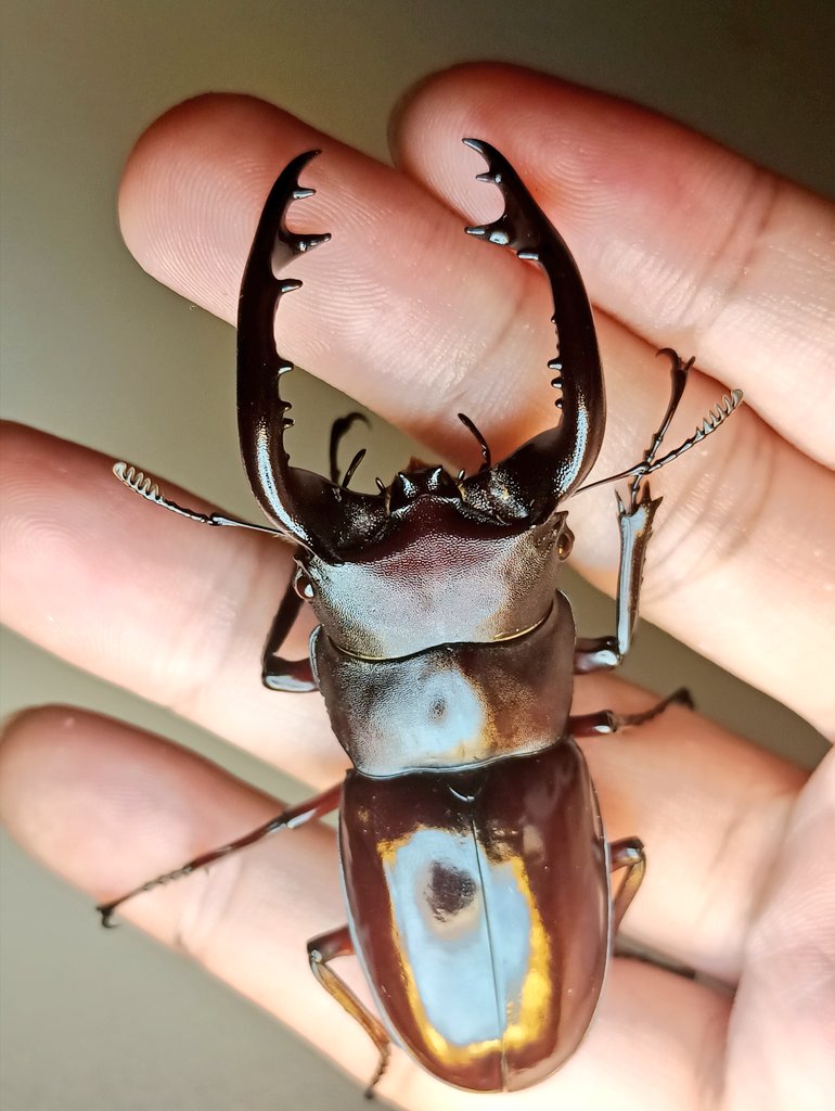 «ö¦¹¦b·sµøµ¡ÂsÄý¹Ï¤ù
