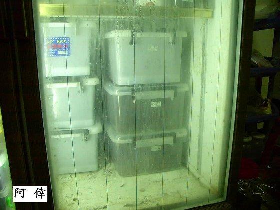 按此在新視窗瀏覽圖片