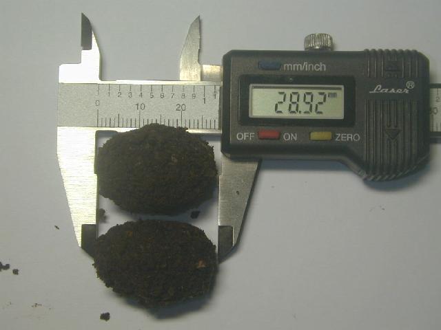 «ö¦¹¦b·sµøµ¡ÂsÄý¹Ï¤ù