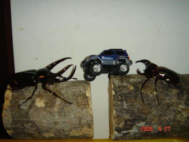 按此在新視窗瀏覽圖片