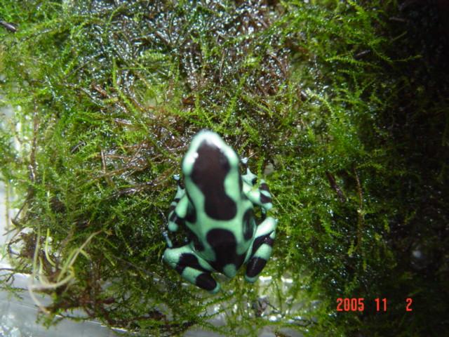 按此在新視窗瀏覽圖片