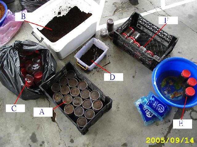 按此在新視窗瀏覽圖片