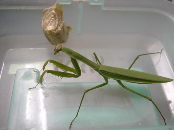 按此在新視窗瀏覽圖片