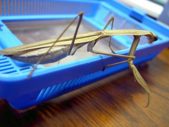 按此在新視窗瀏覽圖片