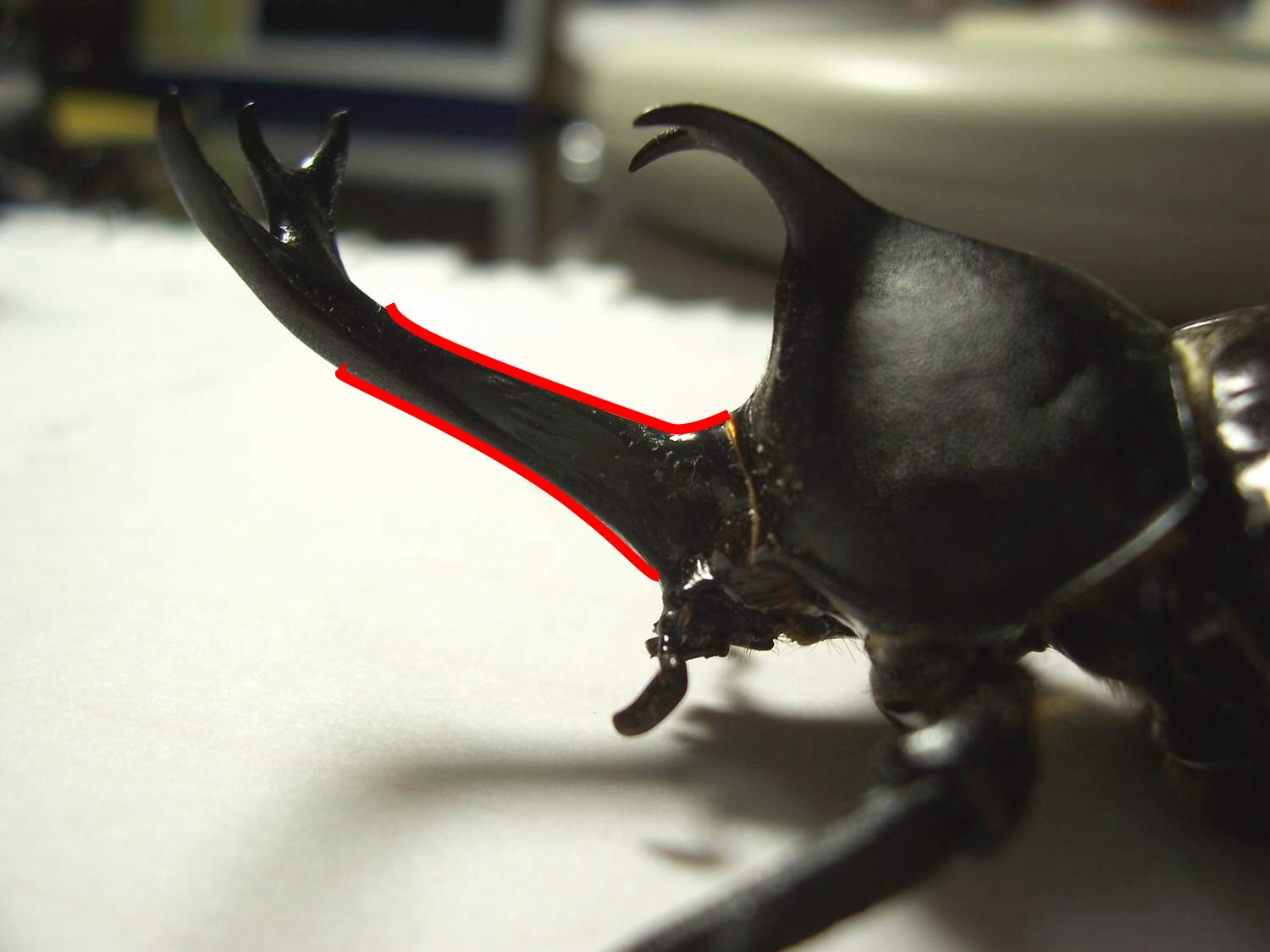 按此在新視窗瀏覽圖片