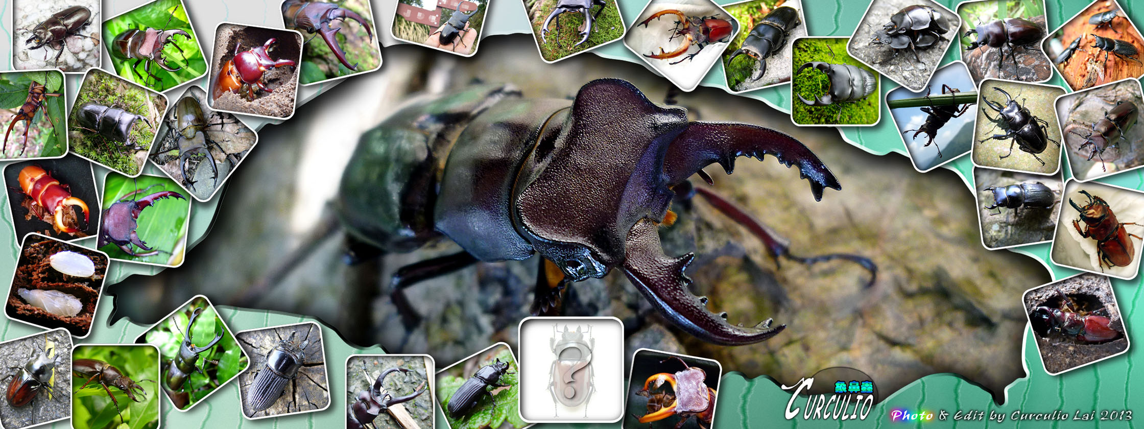 按此在新視窗瀏覽圖片