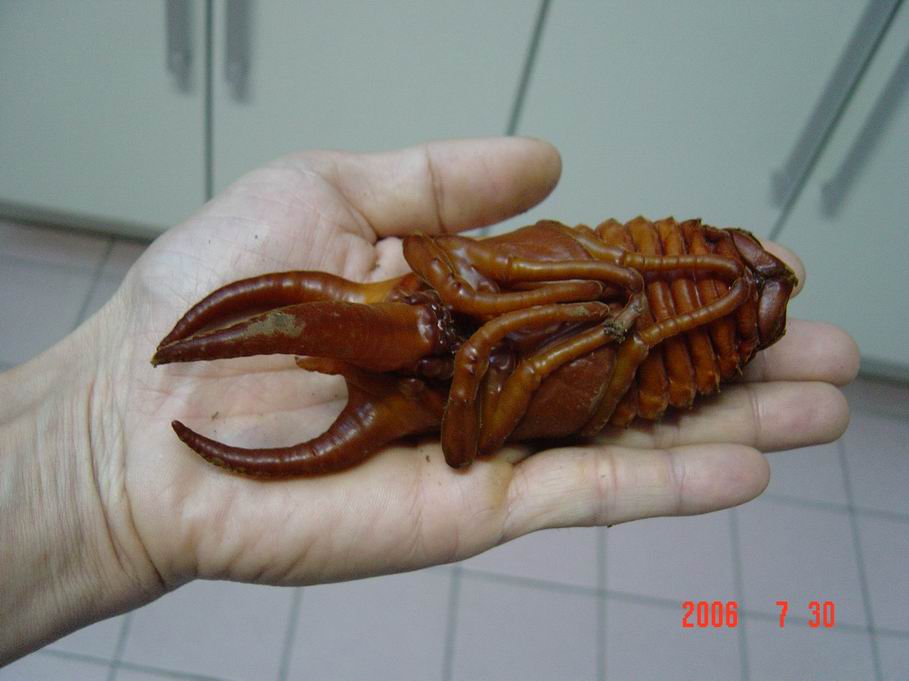 按此在新視窗瀏覽圖片