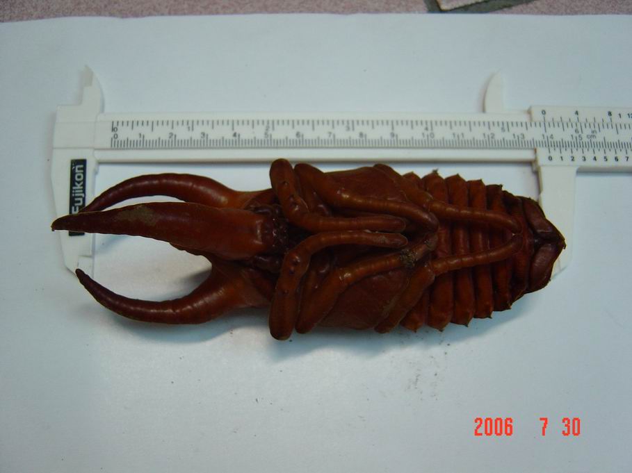 
此主題相關圖片如下:
![按此在新視窗瀏覽圖片