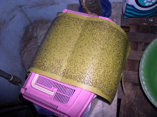 按此在新視窗瀏覽圖片