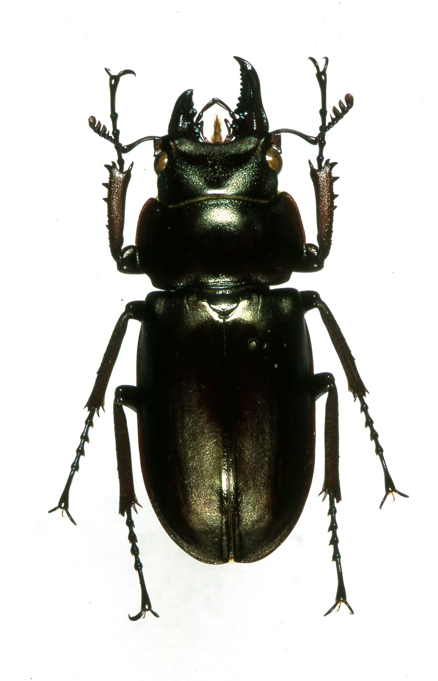 按此在新視窗瀏覽圖片