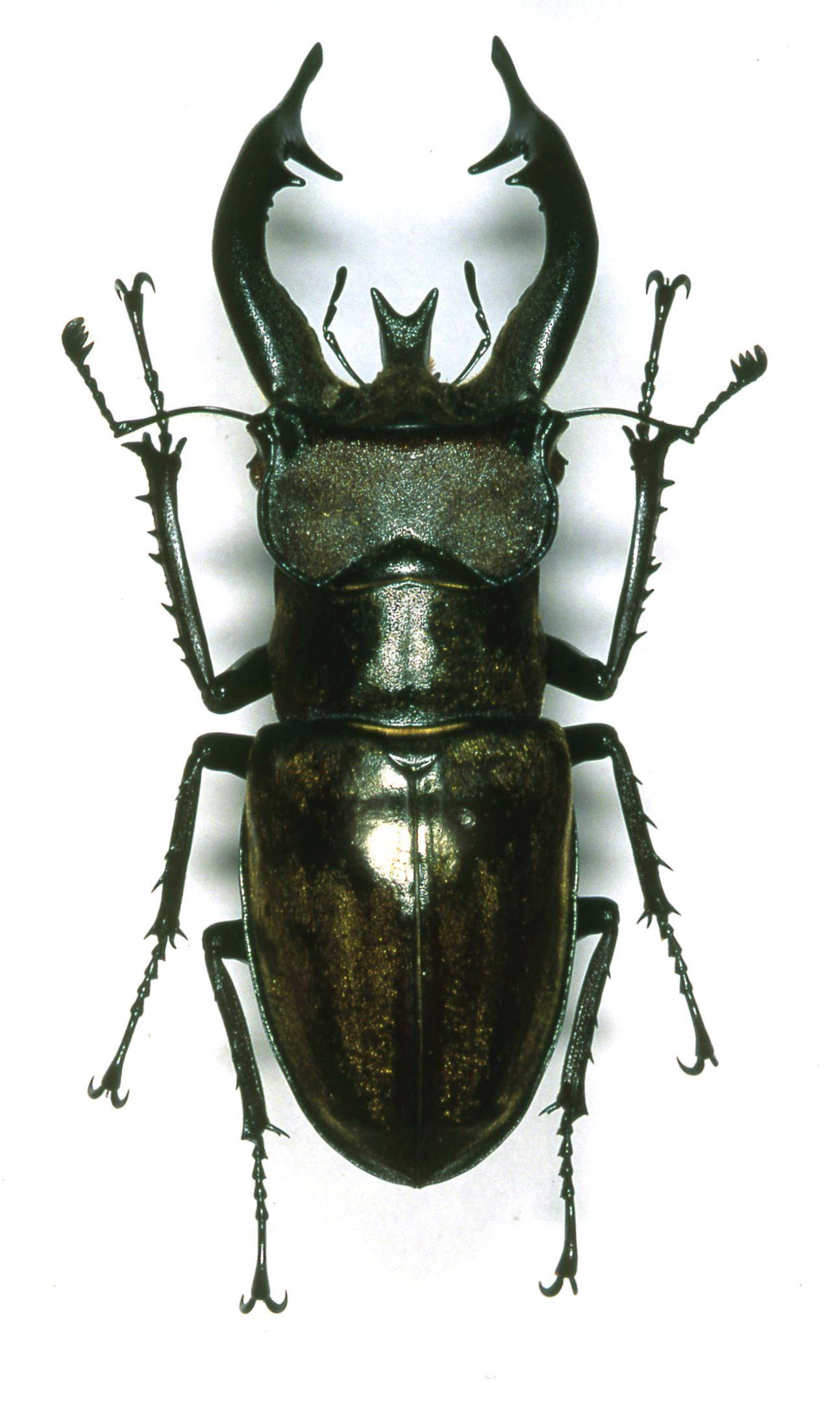 按此在新視窗瀏覽圖片