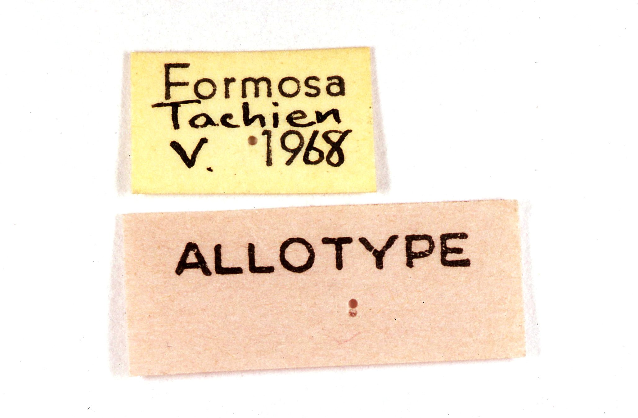 «ö¦¹¦b·sµøµ¡ÂsÄý¹Ï¤ù