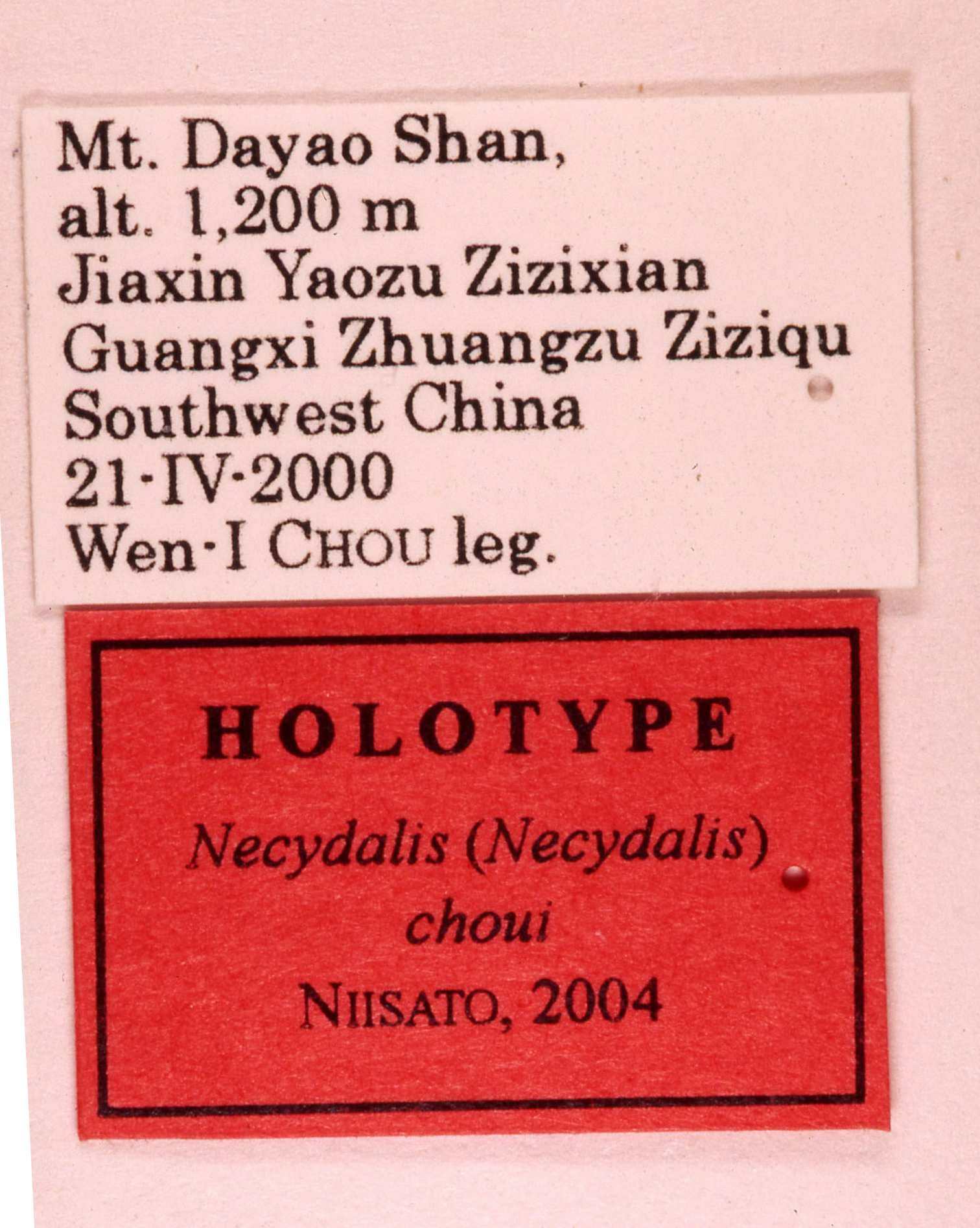 «ö¦¹¦b·sµøµ¡ÂsÄý¹Ï¤ù