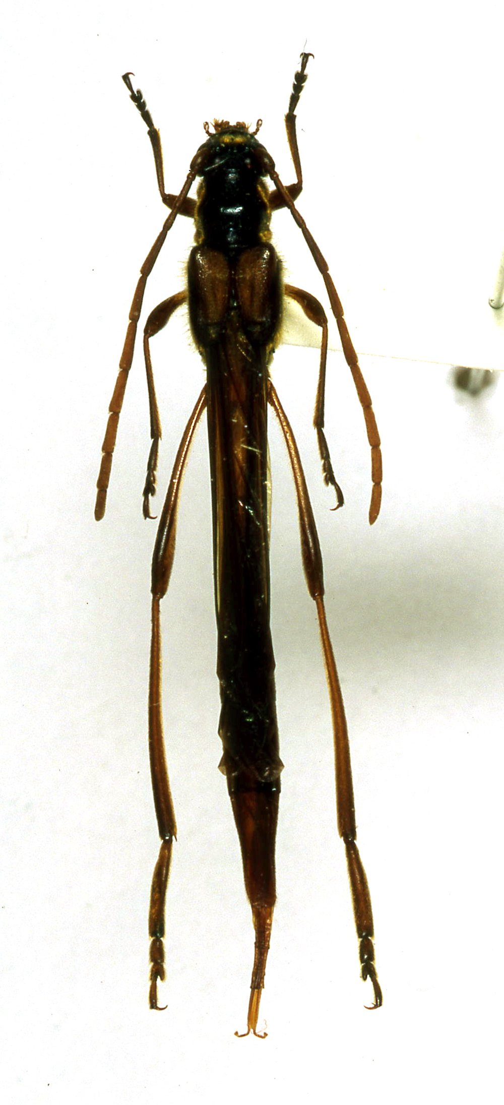 «ö¦¹¦b·sµøµ¡ÂsÄý¹Ï¤ù